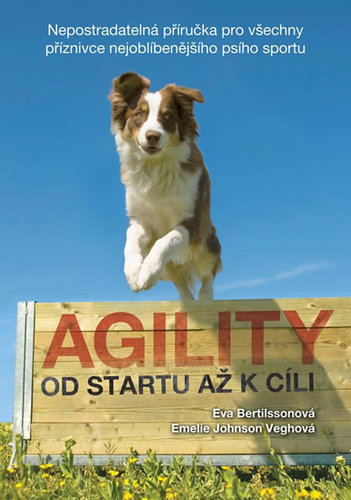 Agility - Od startu až k cíli - Kolektív autorov