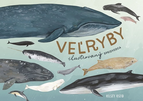 Veľryby: ilustrovaný sprievodca - Kelsey Oseidová,Milan Thurzo