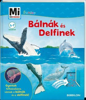 Mi MICSODA JUNIOR - Bálnák és delfinek 25. - Elisabeth Kiefmann