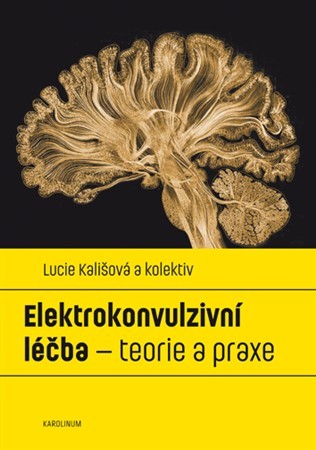 Elektrokonvulzivní léčba - Lucie Kališová,Kolektív autorov