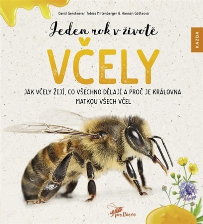 Jeden rok v životě včely - Tobias Miltenberger