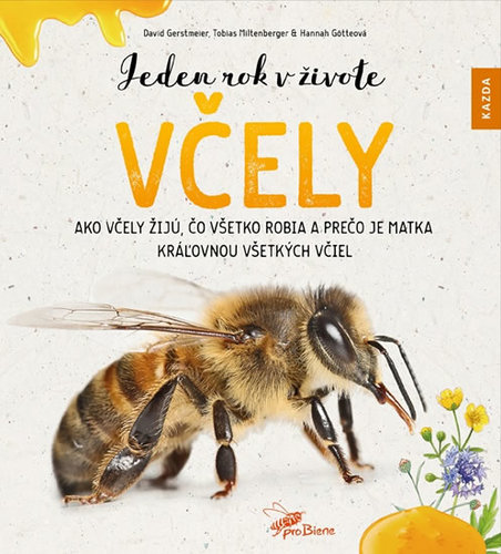 Jeden rok v živote včely - Kolektív autorov,Lenka Fifková Školníková