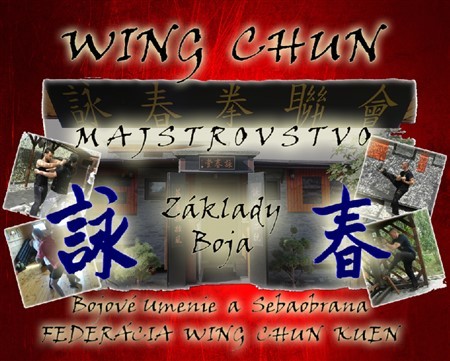 Wing Chun Majstrovstvo - Základy Boja + DVD - Juraj Povinec