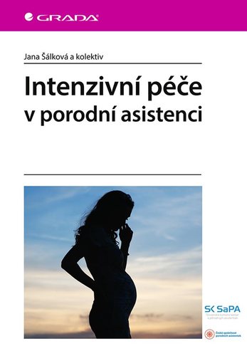 Intenzivní péče v porodní asistenci - Jana Šálková,Kolektív autorov