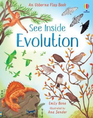 See Inside Evolution - Emily Bone,Ana Sender