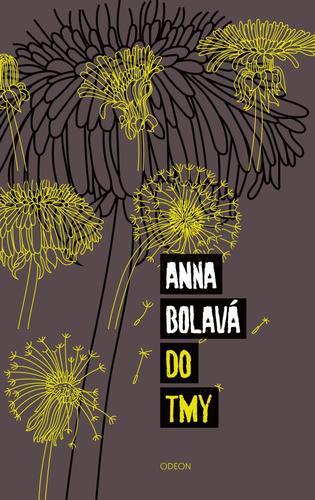 Do tmy, 2. vydání - Anna Bolavá