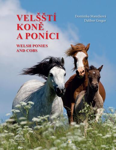 Velšští koně a poníci / Welsh Ponies and Cobs - Dominika Marečková,Dalibor Gregor