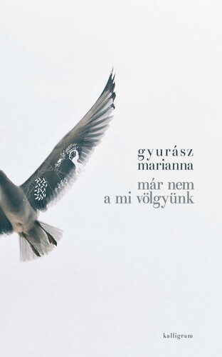 Már nem a mi völgyünk - Marianna Gyurász