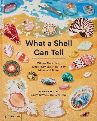 What A Shell Can Tell - Helen Scales,Sonia Pulido
