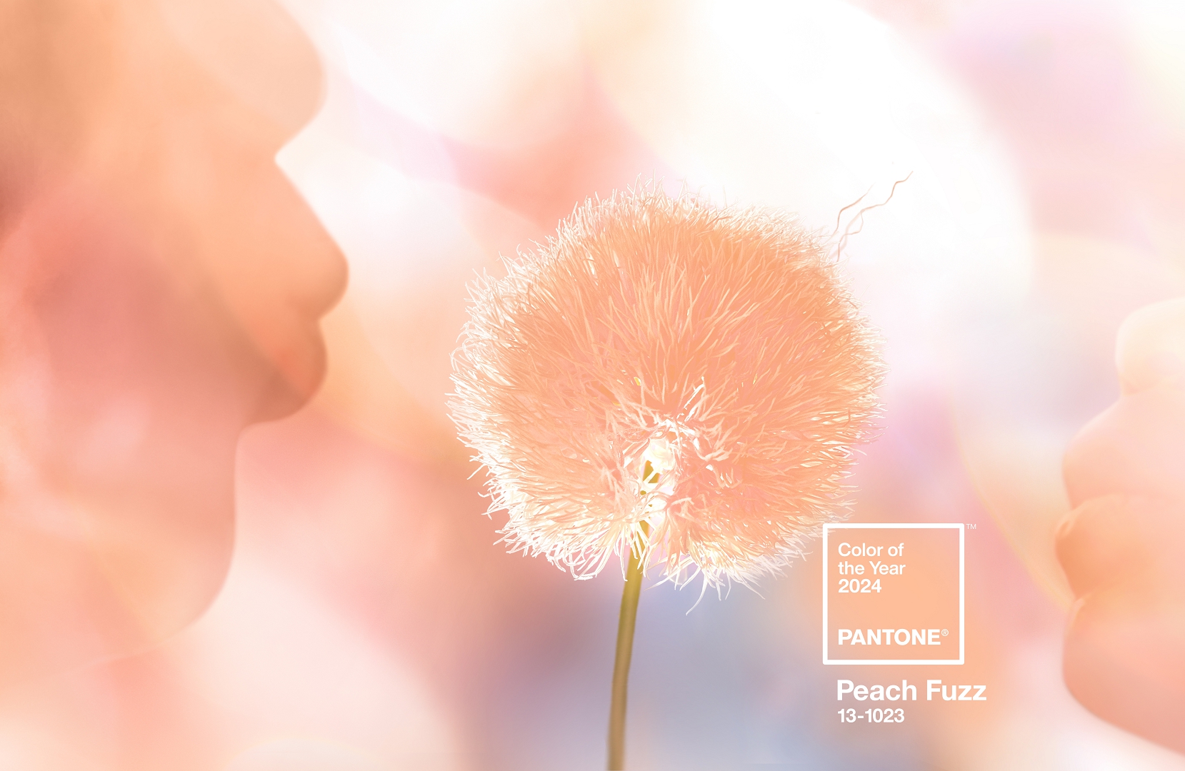 Hrnček PANTONE Peach Fuzz 13-1023 (farba roku 2024)