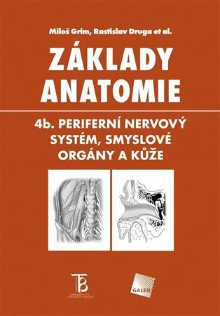 Základy anatomie 4b. - Miloš Grim,Rastislav Druga,Kolektív autorov