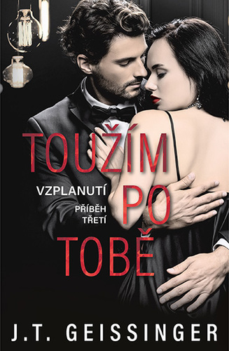 Toužím po tobě - T.J. Geissinger