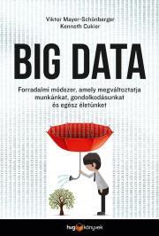 Big Data - Kenneth Cukier,Viktor Mayer-Schönberger