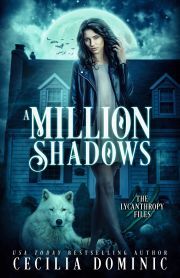 A Million Shadows - Dominic Cecilia