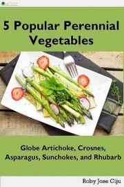 5 Popular Perennial Vegetables - Jose Ciiju Roby