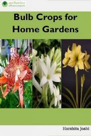 Bulb Crops for Home Gardens - Jose Ciiju Roby