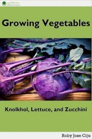 Growing Vegetables - Jose Ciiju Roby