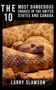 The 10 Most Dangerous Snakes in the United States and Canada - Slawson Larry