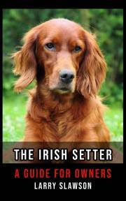 The Irish Setter - Slawson Larry