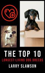 The Top 10 Longest-Living Dog Breeds - Slawson Larry