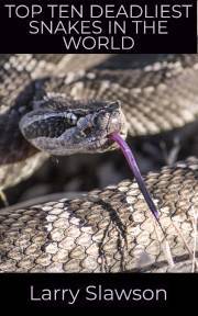 Top Ten Deadliest Snakes in the World - Slawson Larry