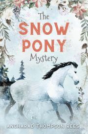 The Snow Pony Mystery - Thompson Rees Angharad