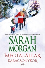 Megtalállak karácsonykor - Sarah Morgan
