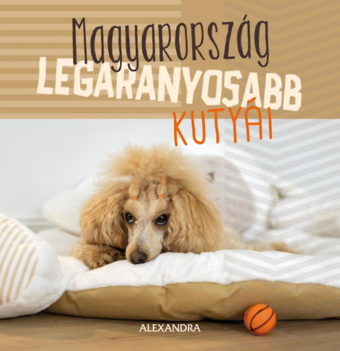 Magyarország legaranyosabb kutyái - 365 gondolat