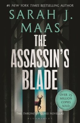 The Assassin\'s Blade - Sarah J. Maasová