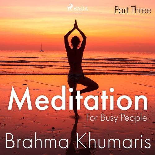 Saga Egmont Meditation For Busy People – Part Three (EN)