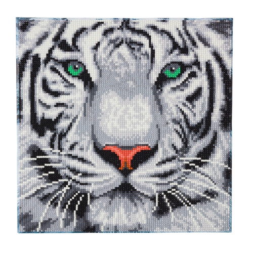 Obraz Biely tiger (30x30 cm) vykladanie z diamantov