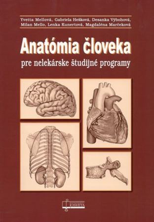 Anatómia človeka pre nelekárske študijné odbory, 3.vydanie - Kolektív autorov