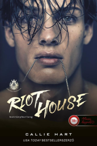 Riot House - Botránybarlang (Angyali ördögök 1.) - Callie Hart