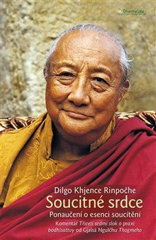 Soucitné srdce - Dilgo Khjence Rinpočhe