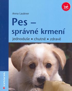 Pes – správné krmení