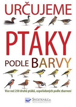 Určujeme ptáky podle barvy