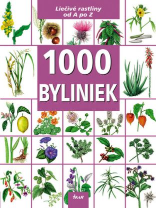 1000 Byliniek