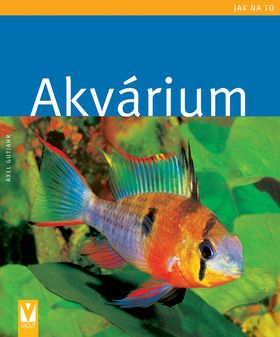 Akvárium - jak na to