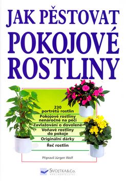 Jak pěstovat pokojové rostliny