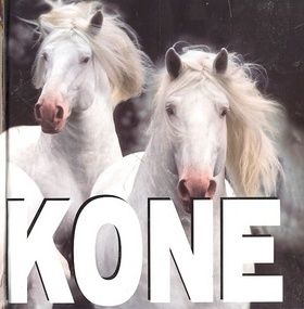 Kone