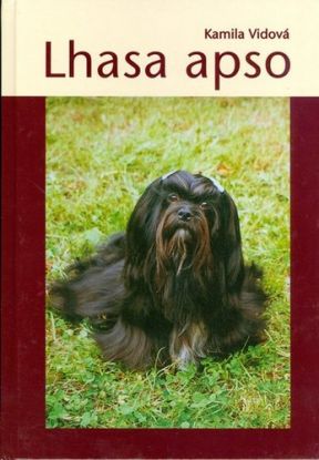 Lhasa apso