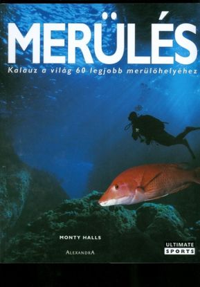 Merülés