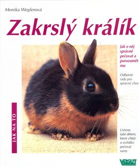 Zakrslý králík - Jak na to