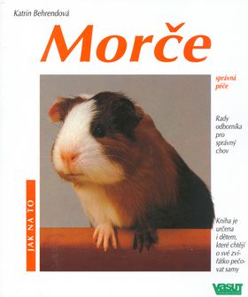 Morče - Jak na to