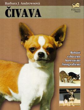 Čivava