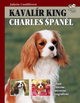 Kavalír King Charles Španěl