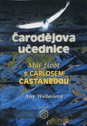 Čarodějova učednice