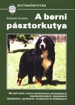 A berni pásztorkutya