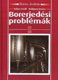 Borerjedési problémák