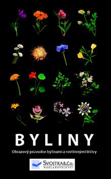 Byliny